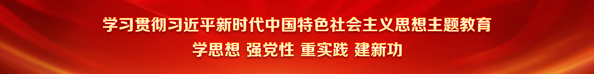 學(xué)習(xí)貫徹習(xí)近平新時(shí)代中國(guó)特色社會(huì)主義思想主題教育 學(xué)思想 強(qiáng)黨性 重實(shí)踐 建新功